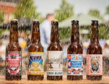 Пиво из дождевой воды: идея для бизнеса из Голландии
